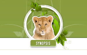 Synopsis
