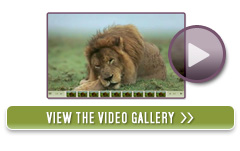 View the Photo Gallery